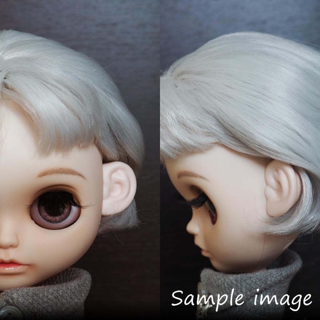 【専用】ネオサイズ 小さい 丸耳（白肌） ブライス アイシードール 用