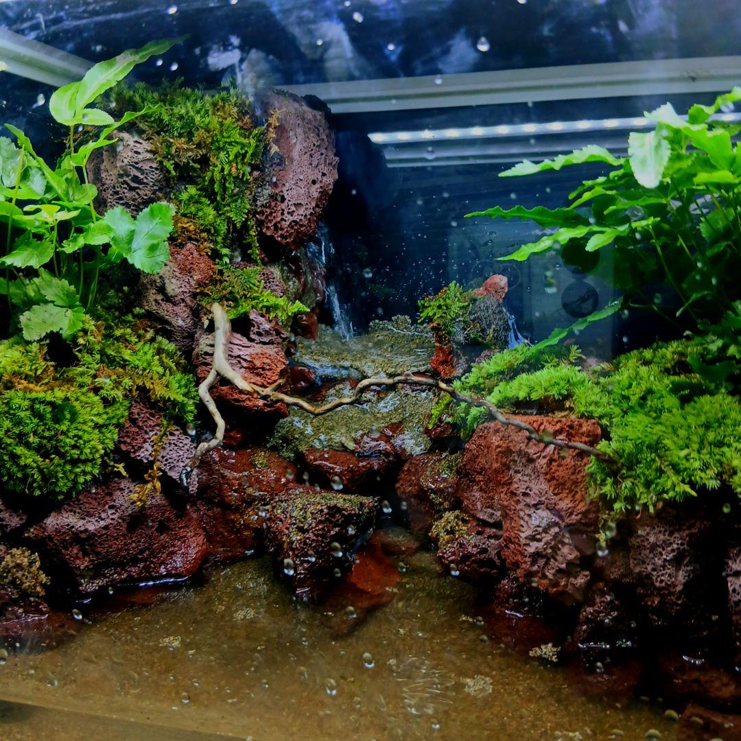 アクアテラリウム 滝 完成品 GEX 赤溶岩石レイアウト