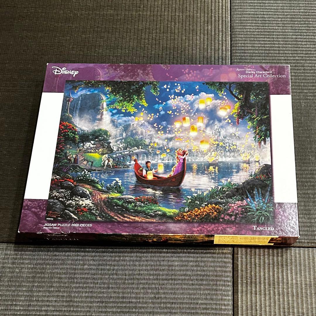 【2000p】ラプンツェル ディズニーキャラクターズ アートフィギュアパネル付