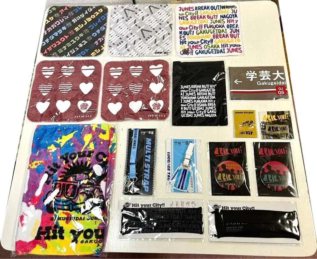 【学芸大青春】グッズ まとめ売り