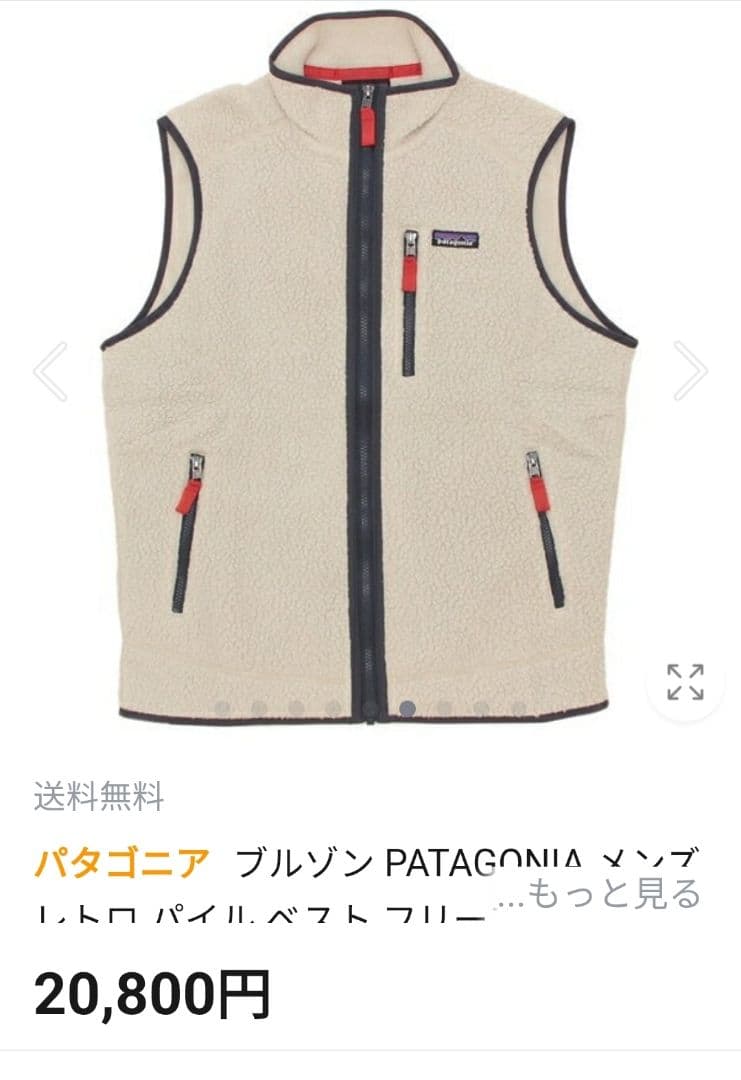 トップス patagonia Men's Retro Pile Vest