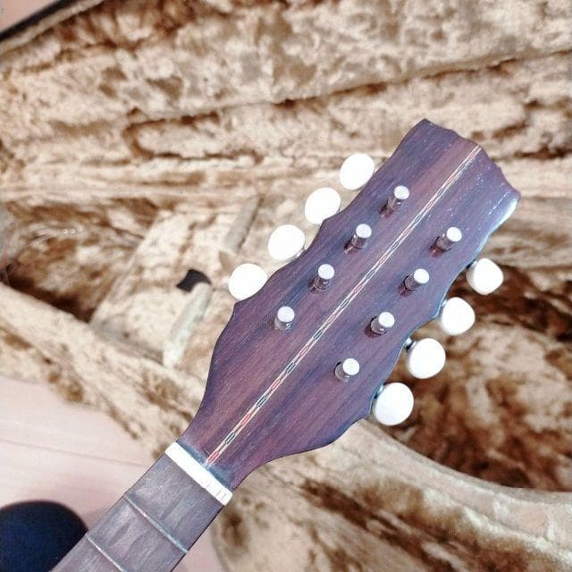 マンドリン　S.Watanabe 渡辺精次 高級　ハードケース付