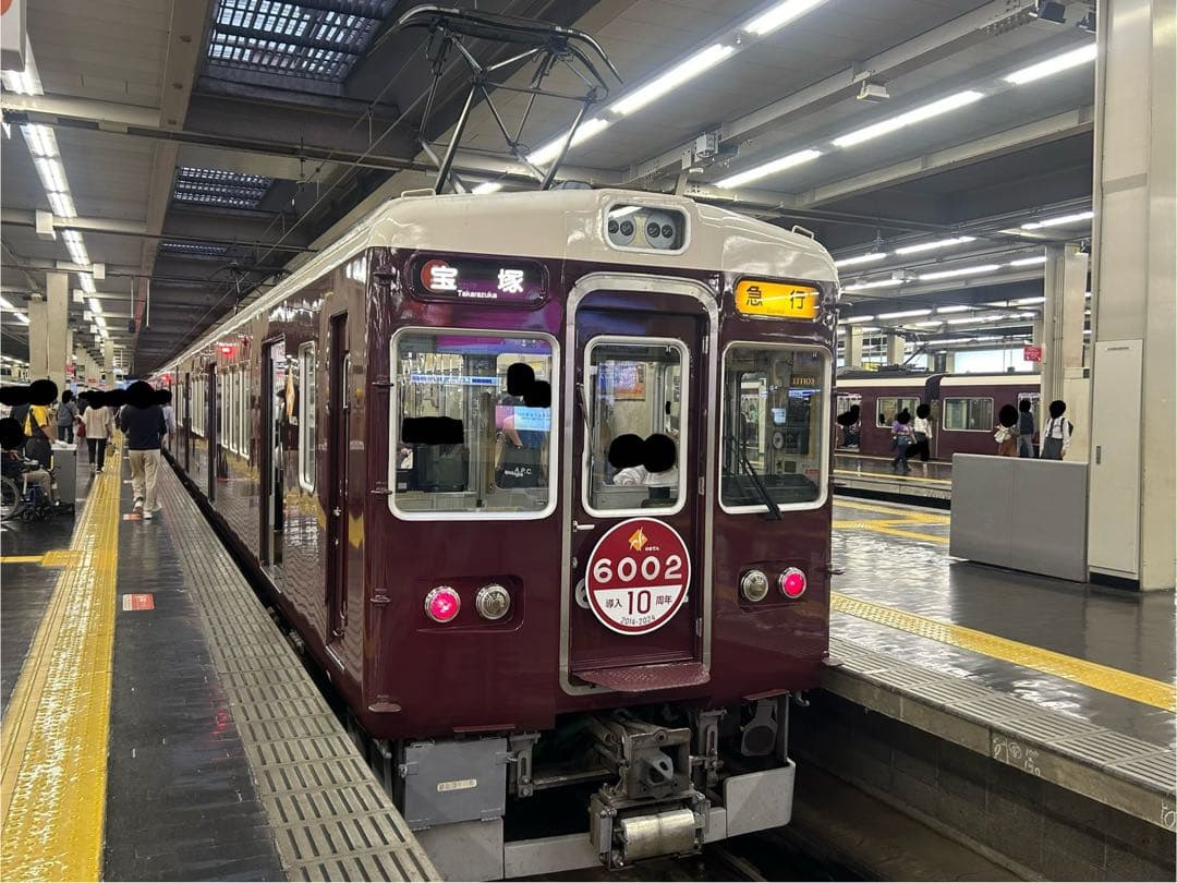 能勢電鉄 6002編成　導入10周年記念 8両編成 (動力付き)