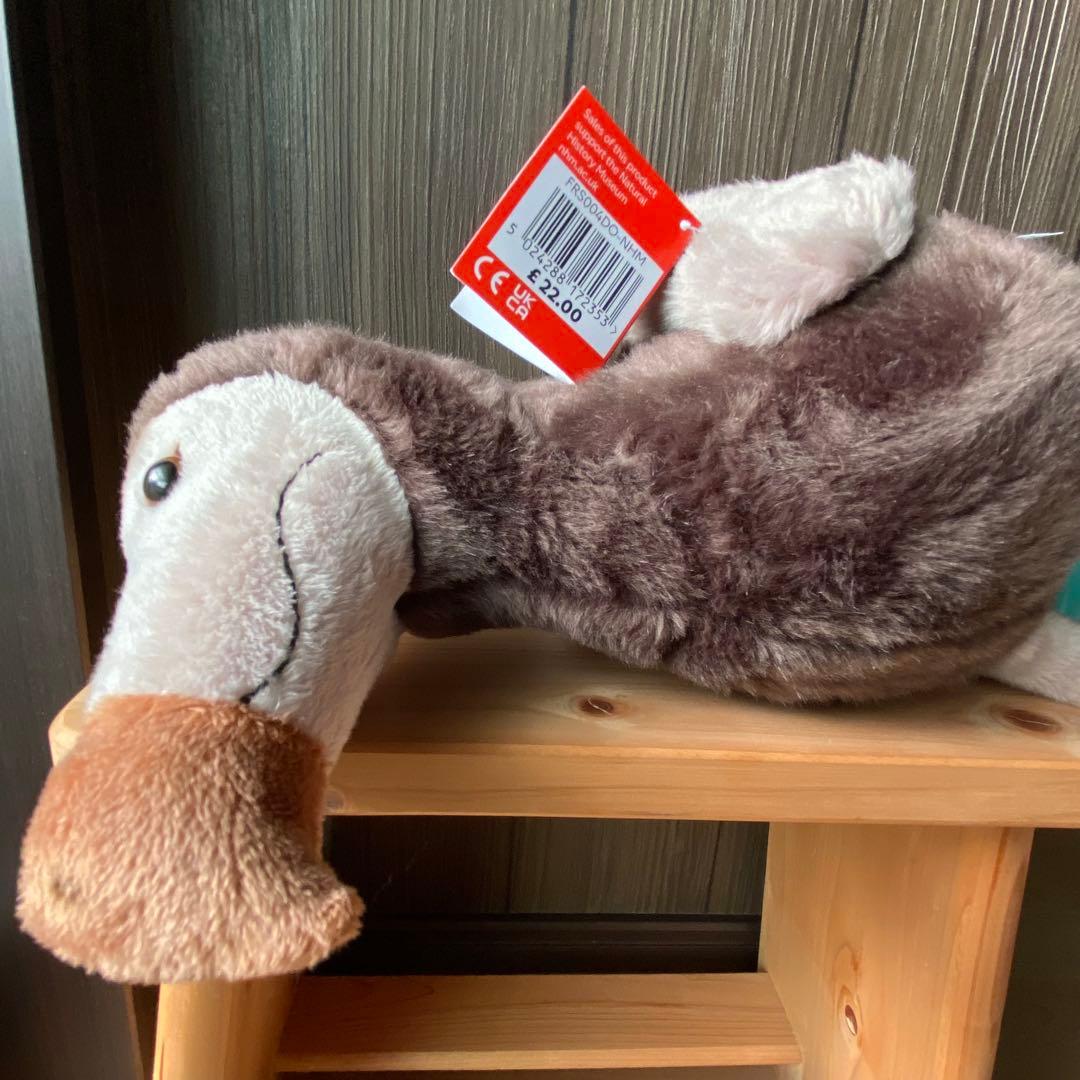 ロンドン自然史博物館ドードーのぬいぐるみ