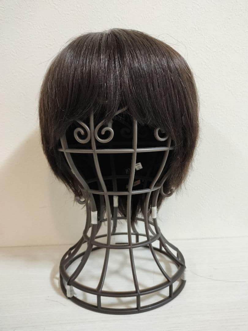 ＊最終値下＊ジュリアオージェ 医療用ウィッグANCS フルウィッグ