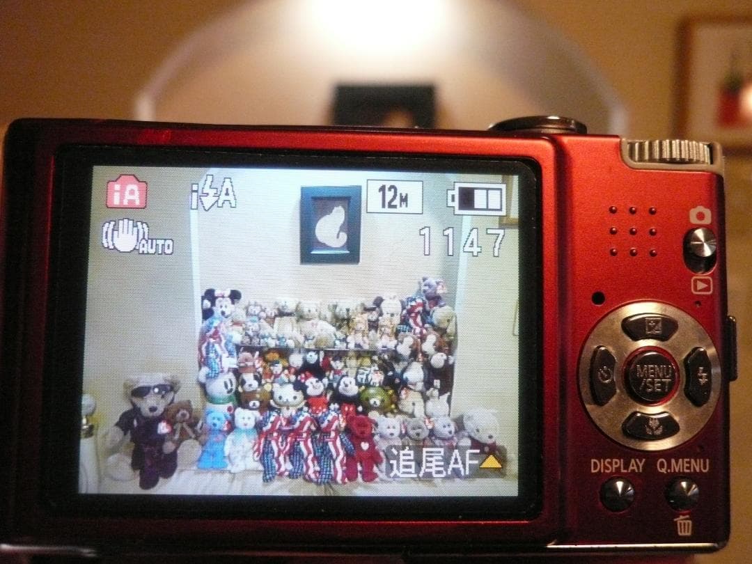 LUMIX★DMC-FX40⭕️安心実働品★5倍ズーム★1210万画素★レッド