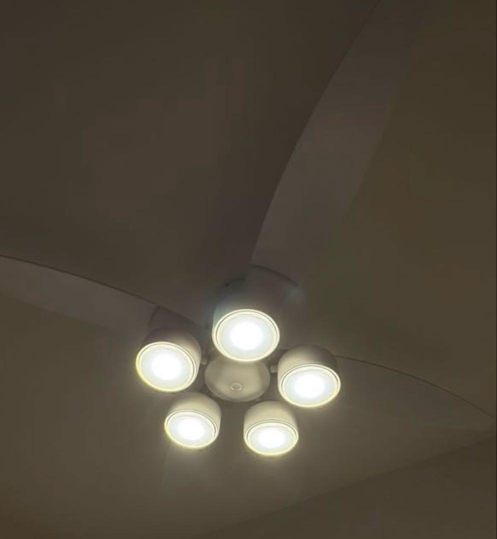 DAIKO シーリングファン＆ライト