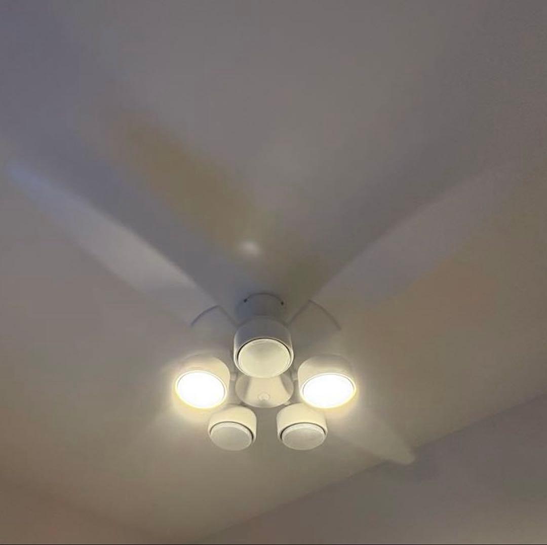 DAIKO シーリングファン＆ライト