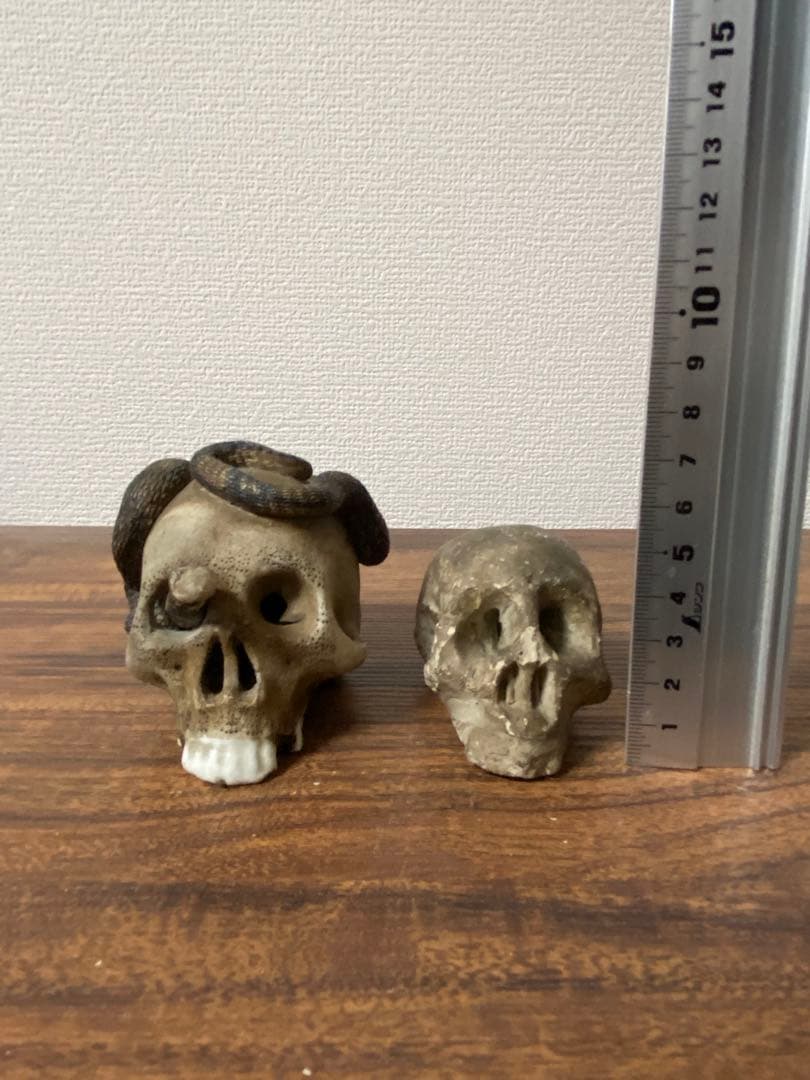 骨董レトロ髑髏野晒しスカル 2個セット 蛇付き 樹脂製