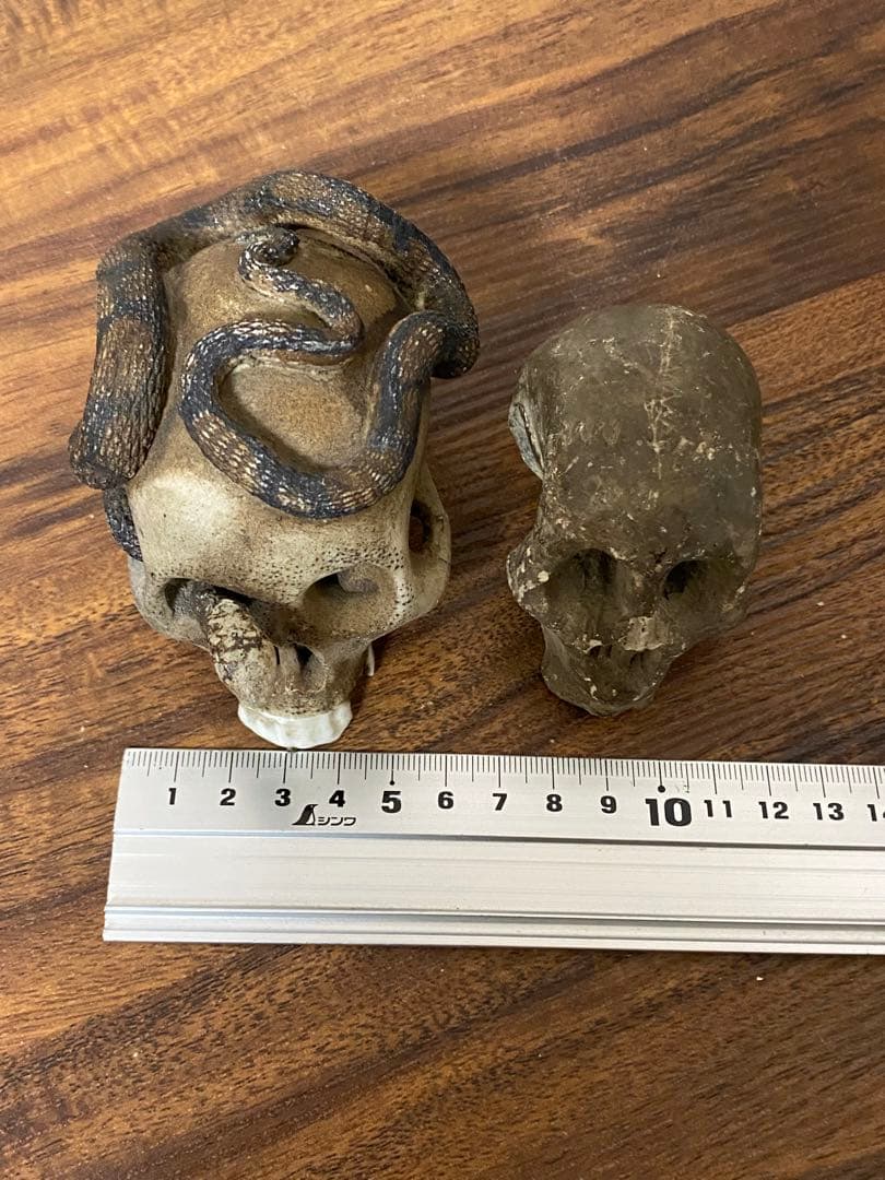 骨董レトロ髑髏野晒しスカル 2個セット 蛇付き 樹脂製