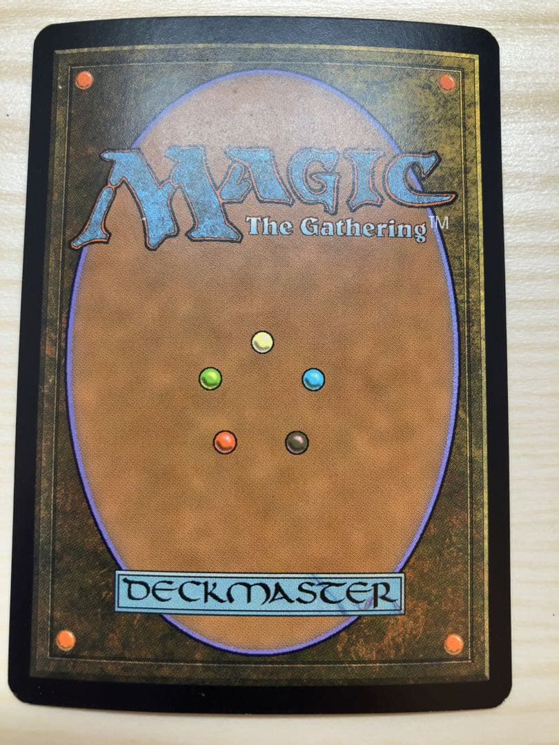 MTG 苦花 日本語 foil モーニングタイド