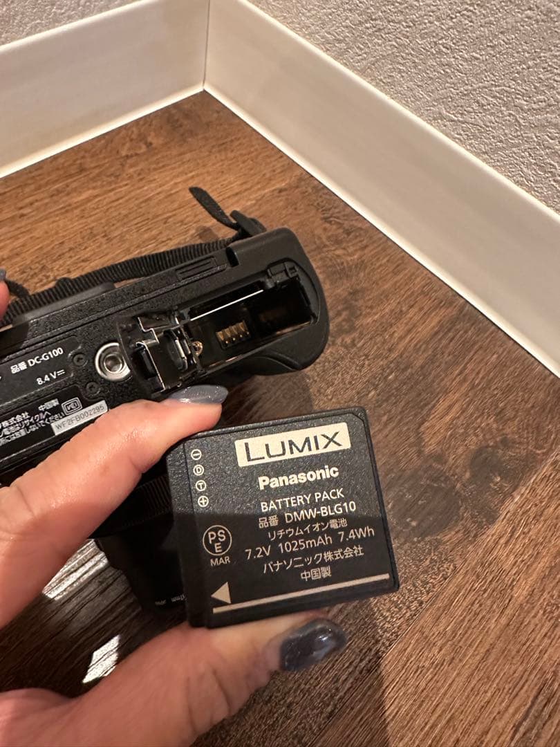 【美品】LUMIX G100／ファインダーひびあり・モニター撮影OK