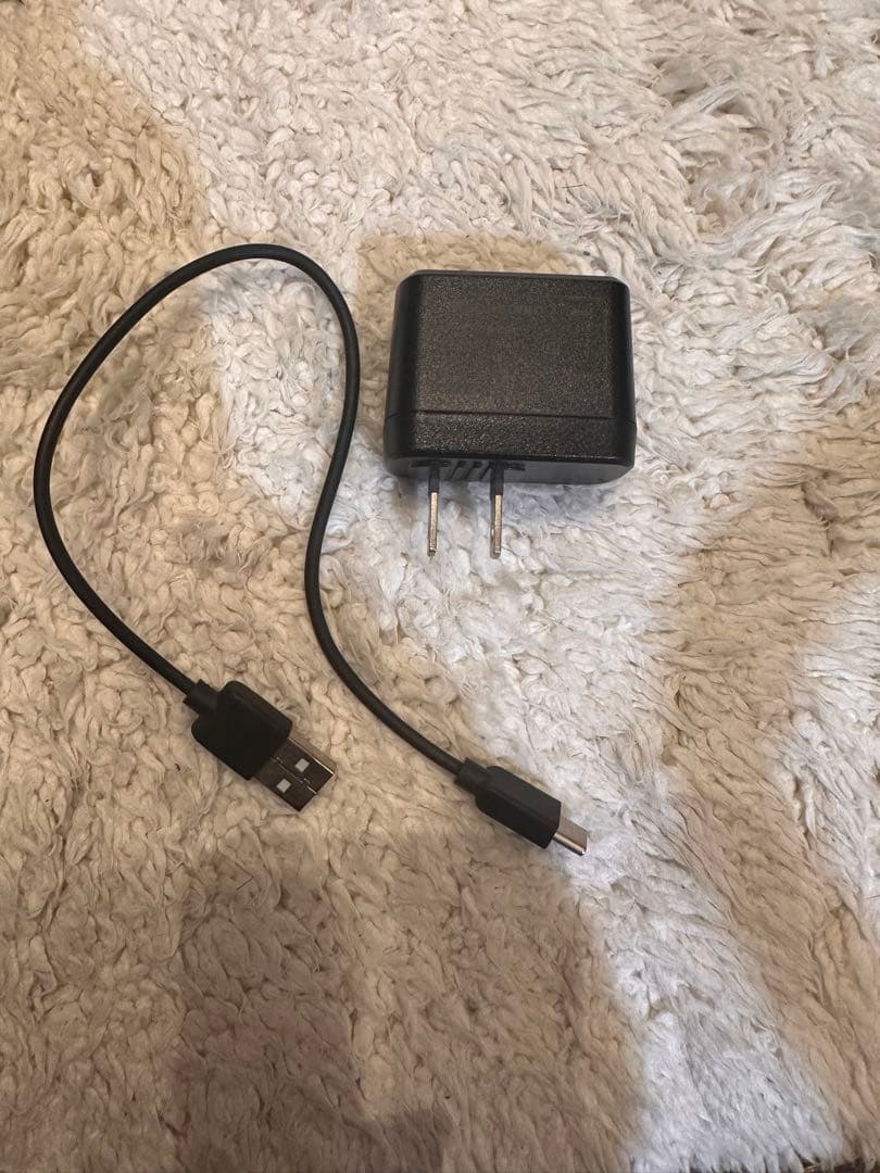 【美品】LUMIX G100／ファインダーひびあり・モニター撮影OK