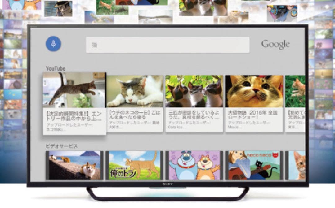 ソニー 49V型 液晶 テレビ ブラビア KJ-49X8000C 4K