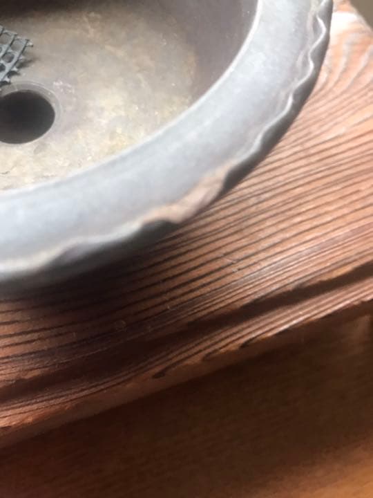 盆栽鉢　時代小品盆栽鉢紫泥落款有山野草お洒落鉢　盆栽鉢