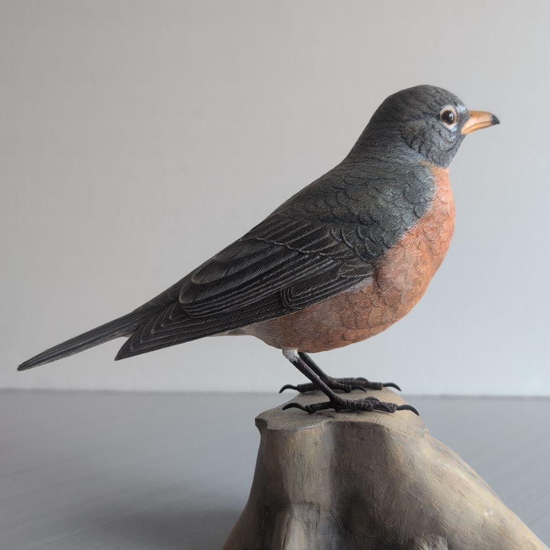 リアル木彫り　コマツグミ(アメリカン　ロビン) 野鳥彫刻 バードカービング