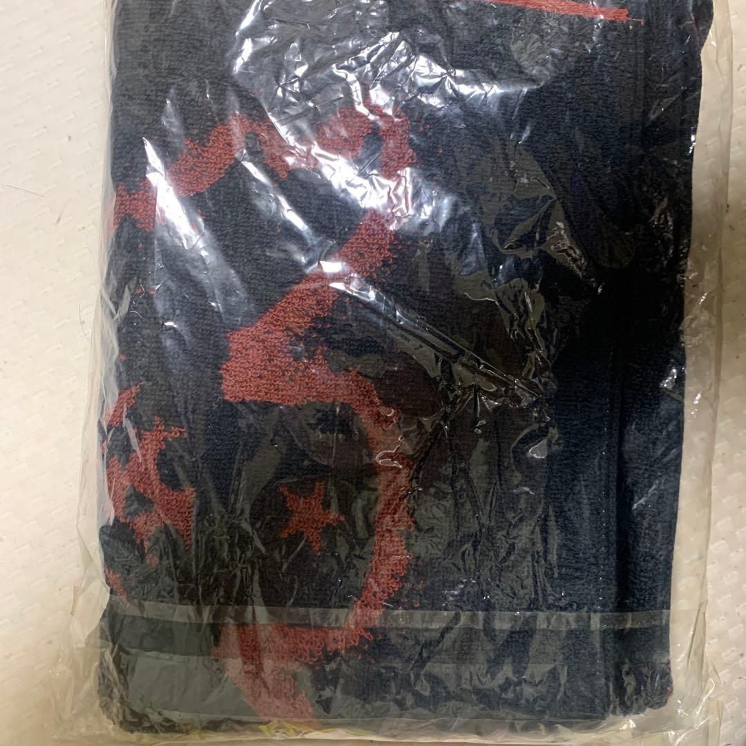 SADS ツアーグッズ