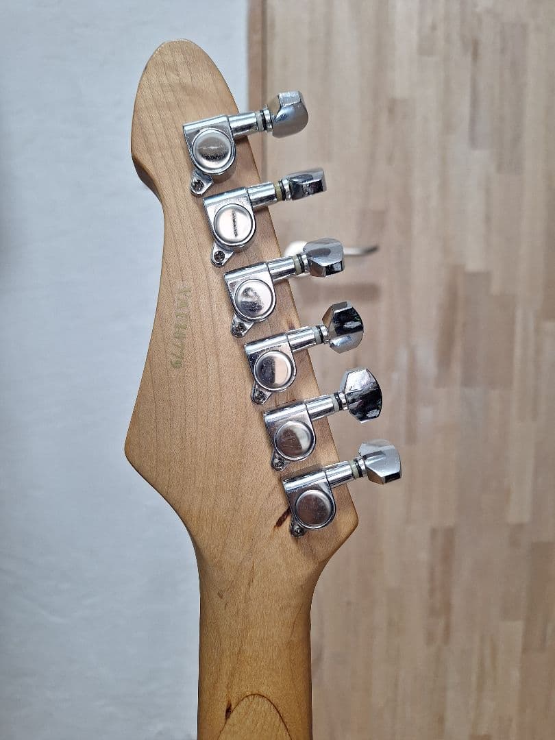 【ほぼ美品】エレキギター （調整済）自分が欲しいと思う内容で構成した初心者セット