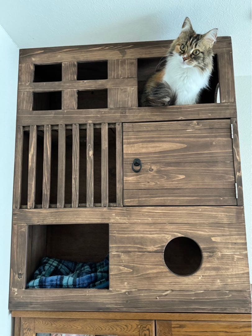 アンズ木製キャットハウス