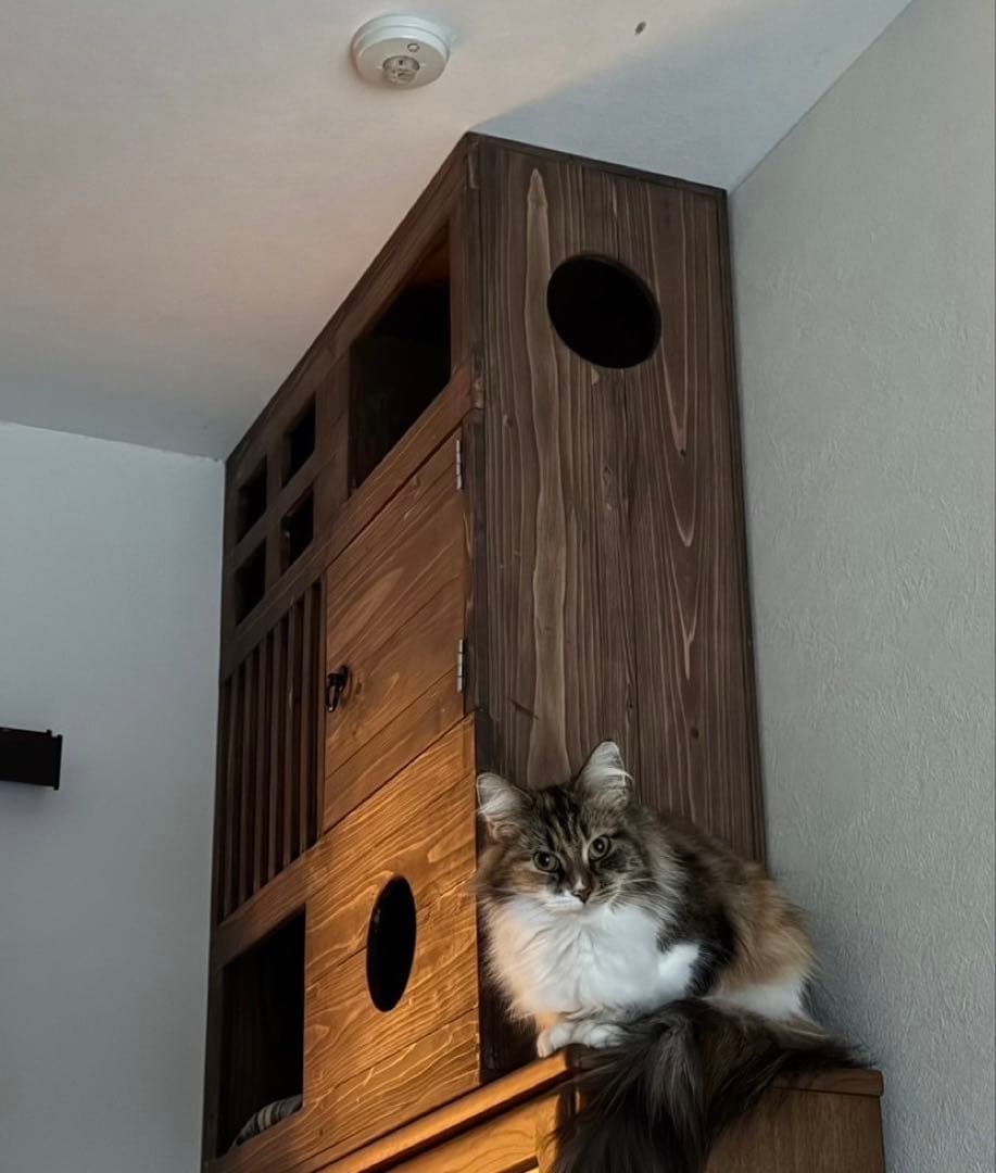 アンズ木製キャットハウス