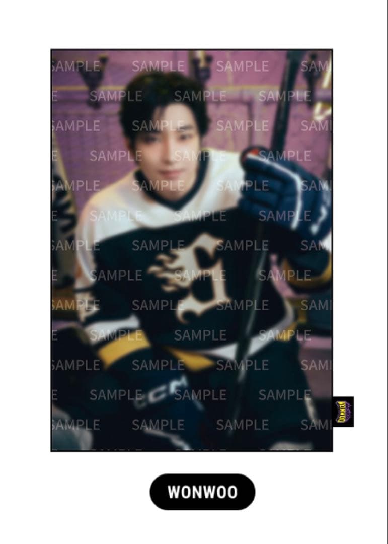 SEVENTEEN  ビッグフォトブランケット　ウォヌ