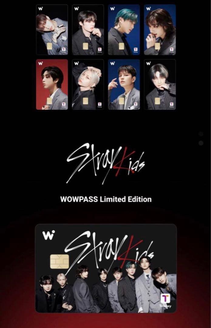 Stray Kids×WOWPASS 9枚セット スキズ　ワオパス