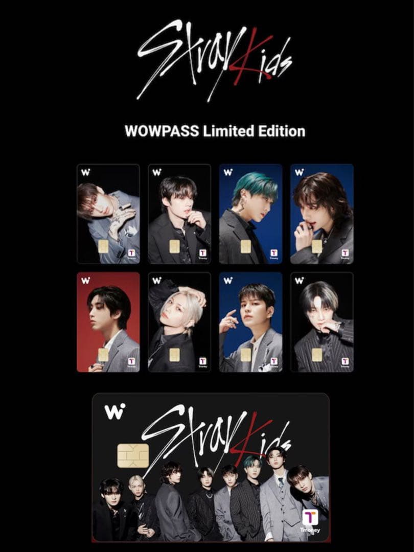 Stray Kids×WOWPASS 9枚セット スキズ　ワオパス
