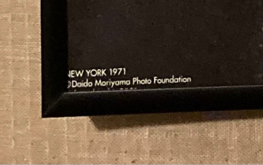 森山大道　A3ポスター 黒猫