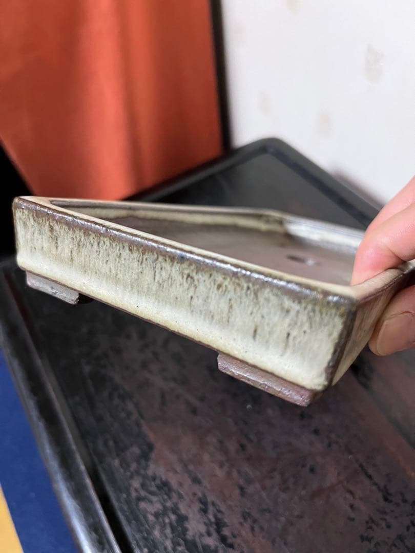 342 盆栽　盆栽鉢　植木鉢　和鉢