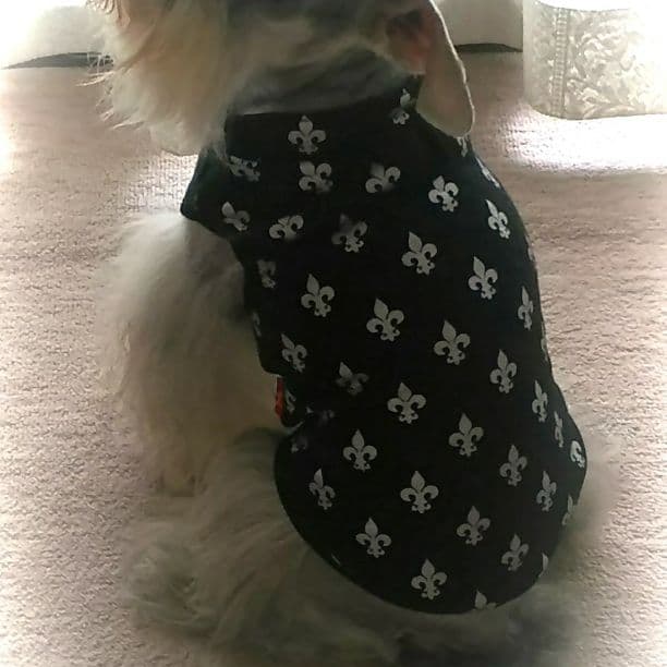 各種ペットウエア用のオーダーページ作成コメント用