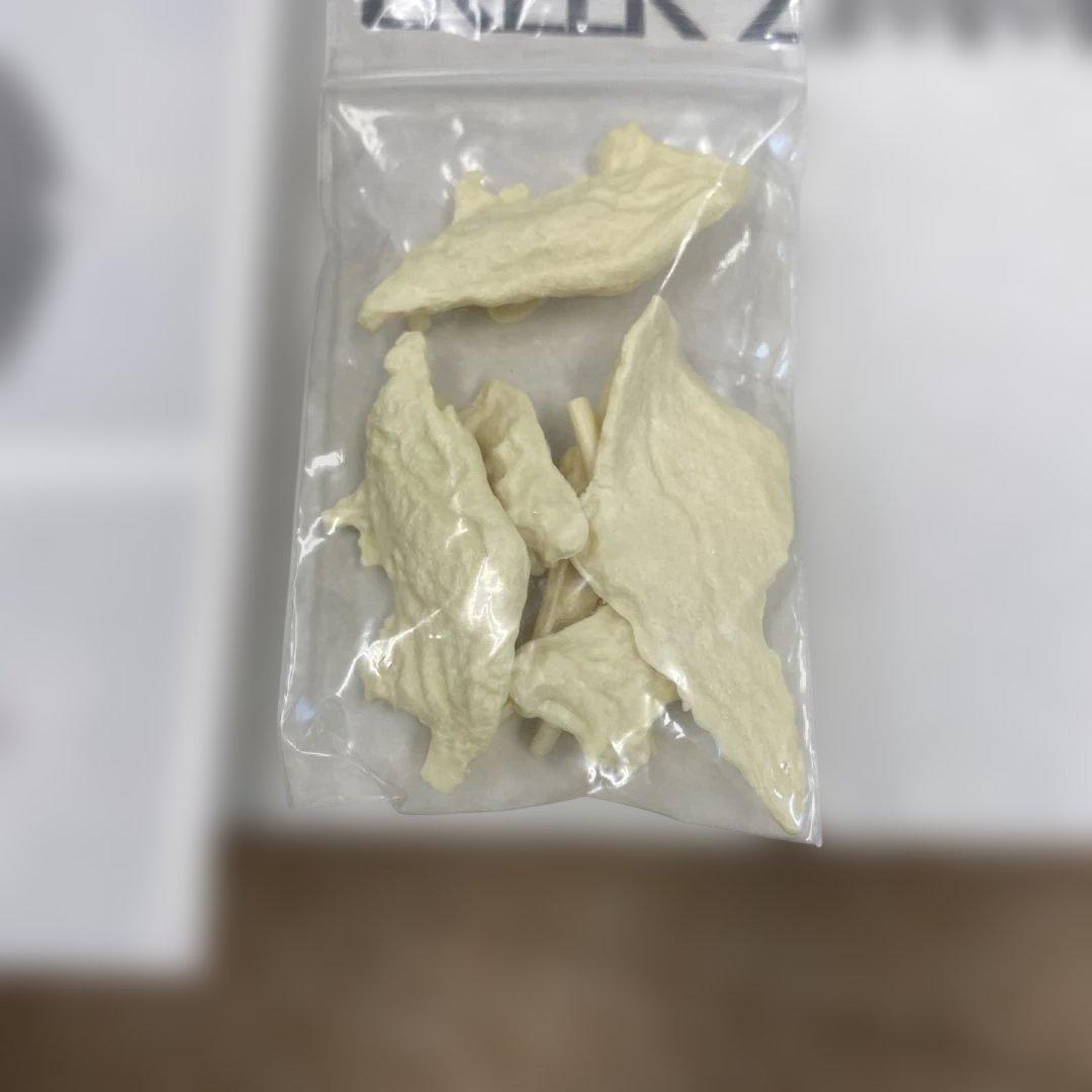 ERLER ZIMMER 人体模型