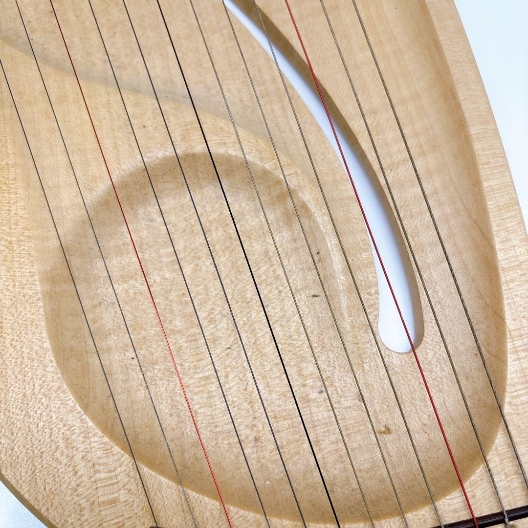 アウリス（AURIS）ライアーダイヤトニック１２弦