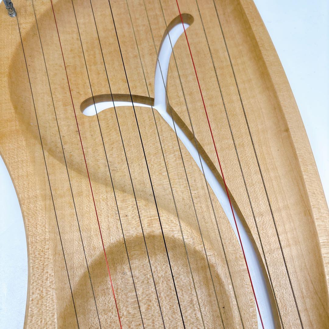 アウリス（AURIS）ライアーダイヤトニック１２弦