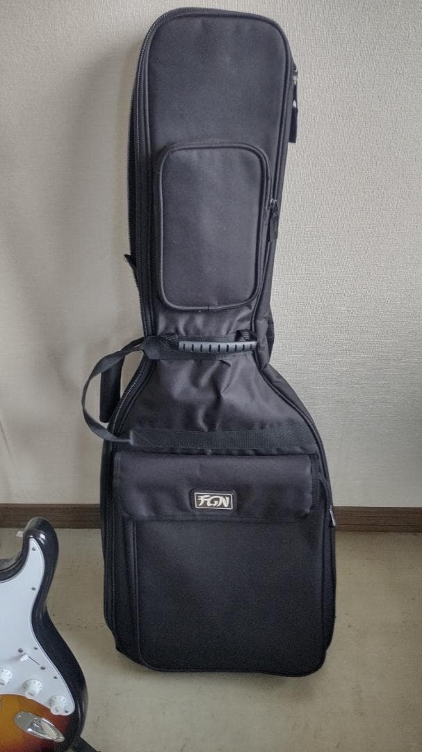 フジゲン JST-6R J-Classic バッグ付 日本製