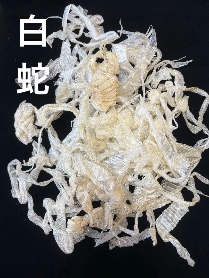 白ヘビの抜け殻端材まとめ売り