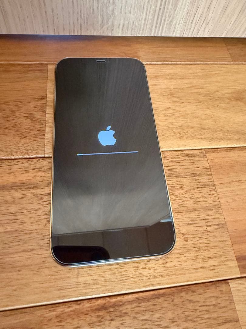 アルタさま用 Apple iPhone