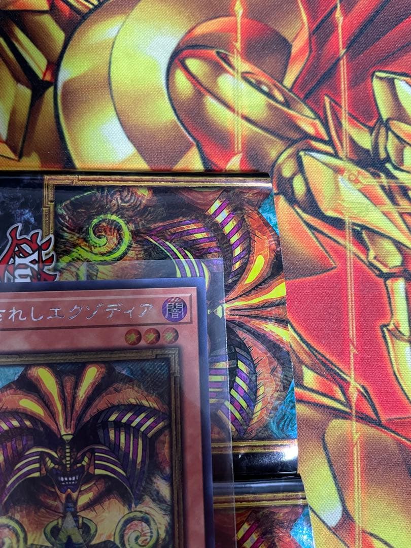 遊戯王 封印されしエクゾディア WCS2025 シクロゴあり