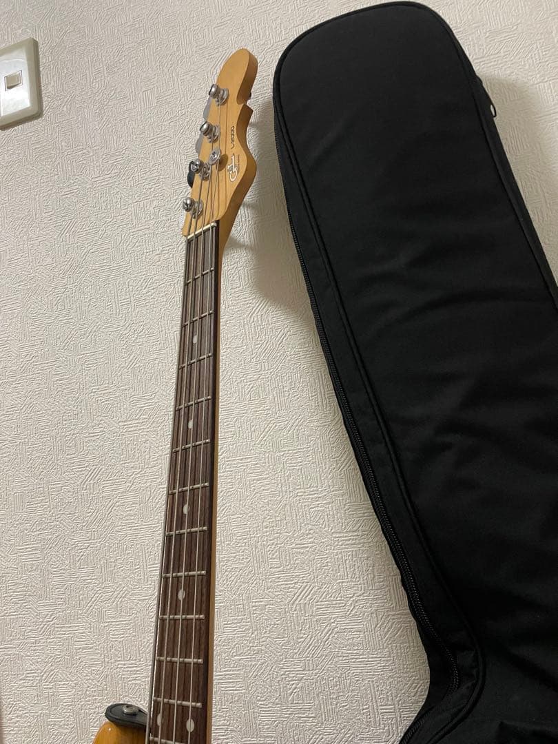 G&L L-2000 トリヴュート Mod