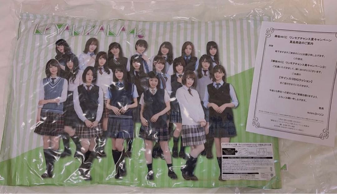 【新品未使用】欅坂46 くじ ワンモアチャンス賞 サイン入り クッション