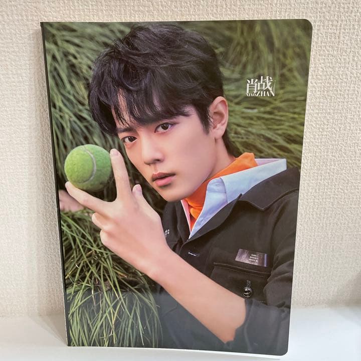 陳情令魔道祖師肖战 肖戦　シャオジャン ノート#391