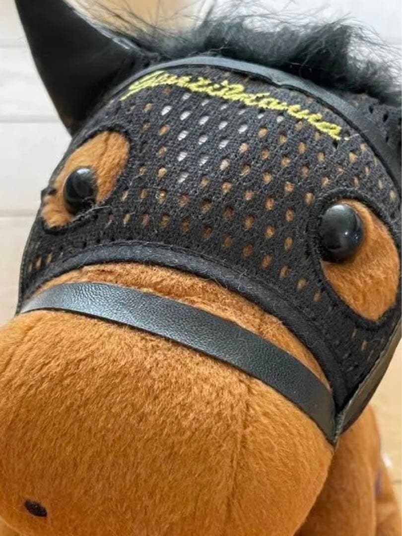 【ジェンティルドンナ/2014 DUBAI SHEEMA CLASSIC】