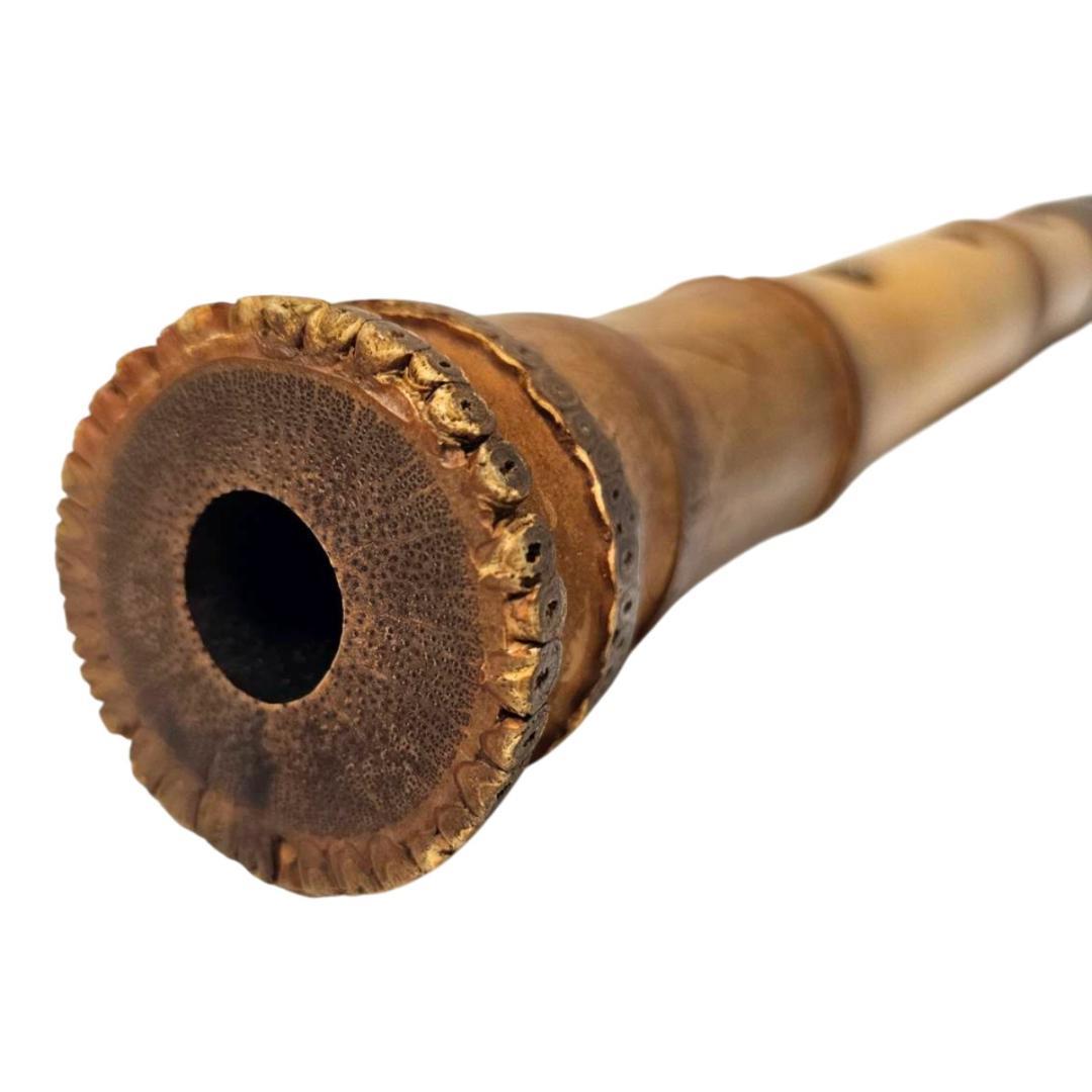 尺八 都山流 1尺8寸 5孔 D調 太管 根付 二分割 和楽器 竹 黒継ぎ輪