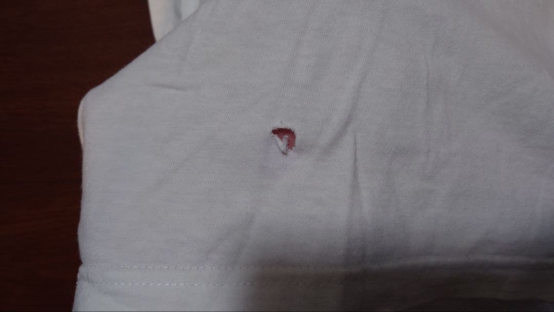 Kula Shaker Tシャツ ホワイト