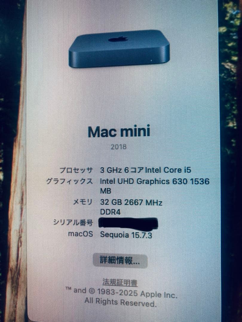 Apple Mac mini (2018) メモリ32GB SSD512GB