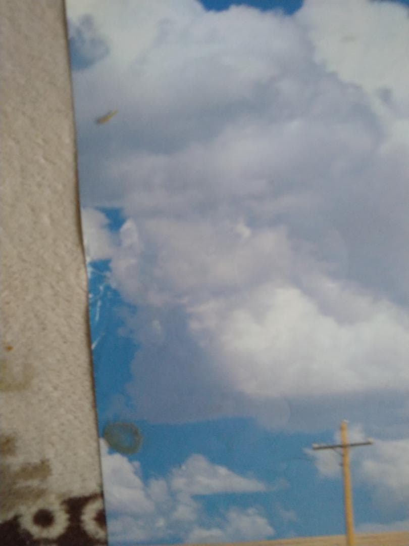 2枚組　マイ・プラべート・アイダホ　キアヌ・リーブス　日本US2枚