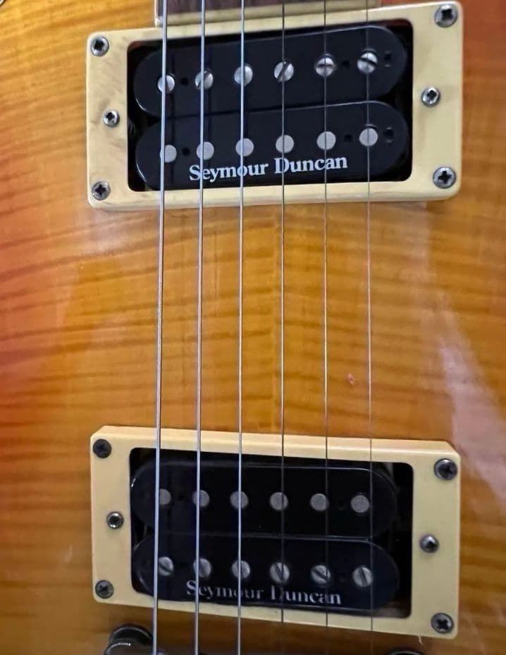 fernandes＊Ravelle Dx