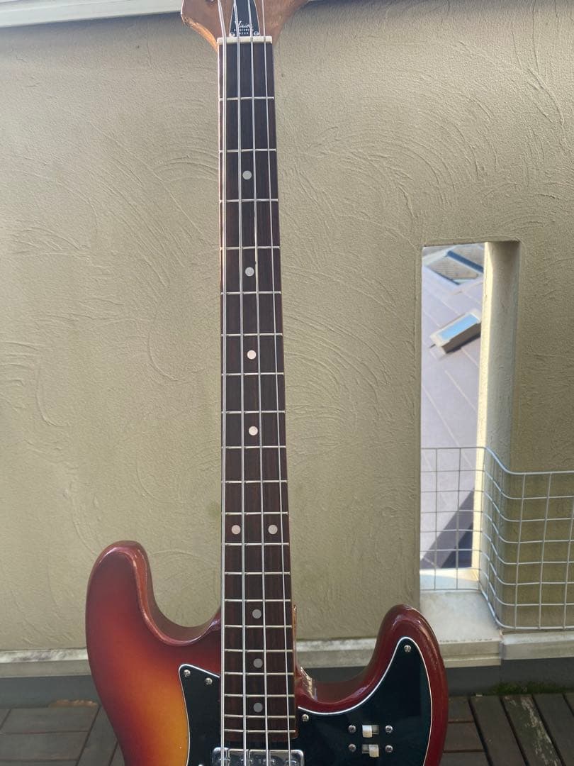 VISION ソリッドベース(ビザールギター)