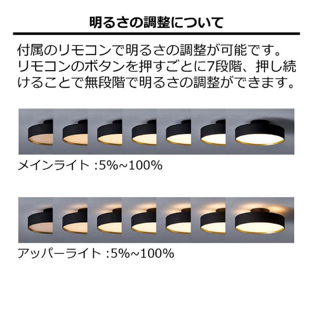 ART WORK STUDIO シーリングライト 黒