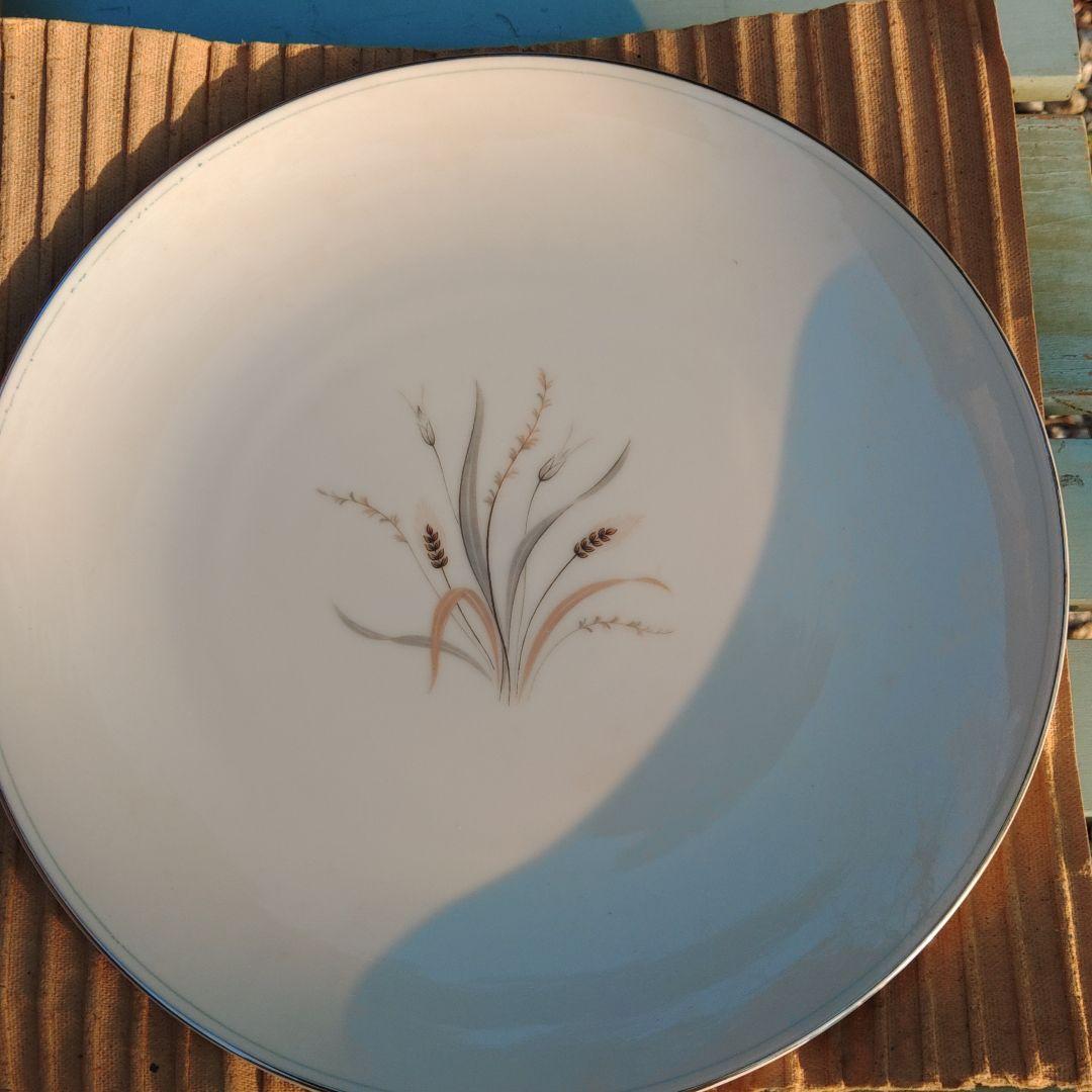 三郷チャイナ陶磁器皿(10枚)　食器