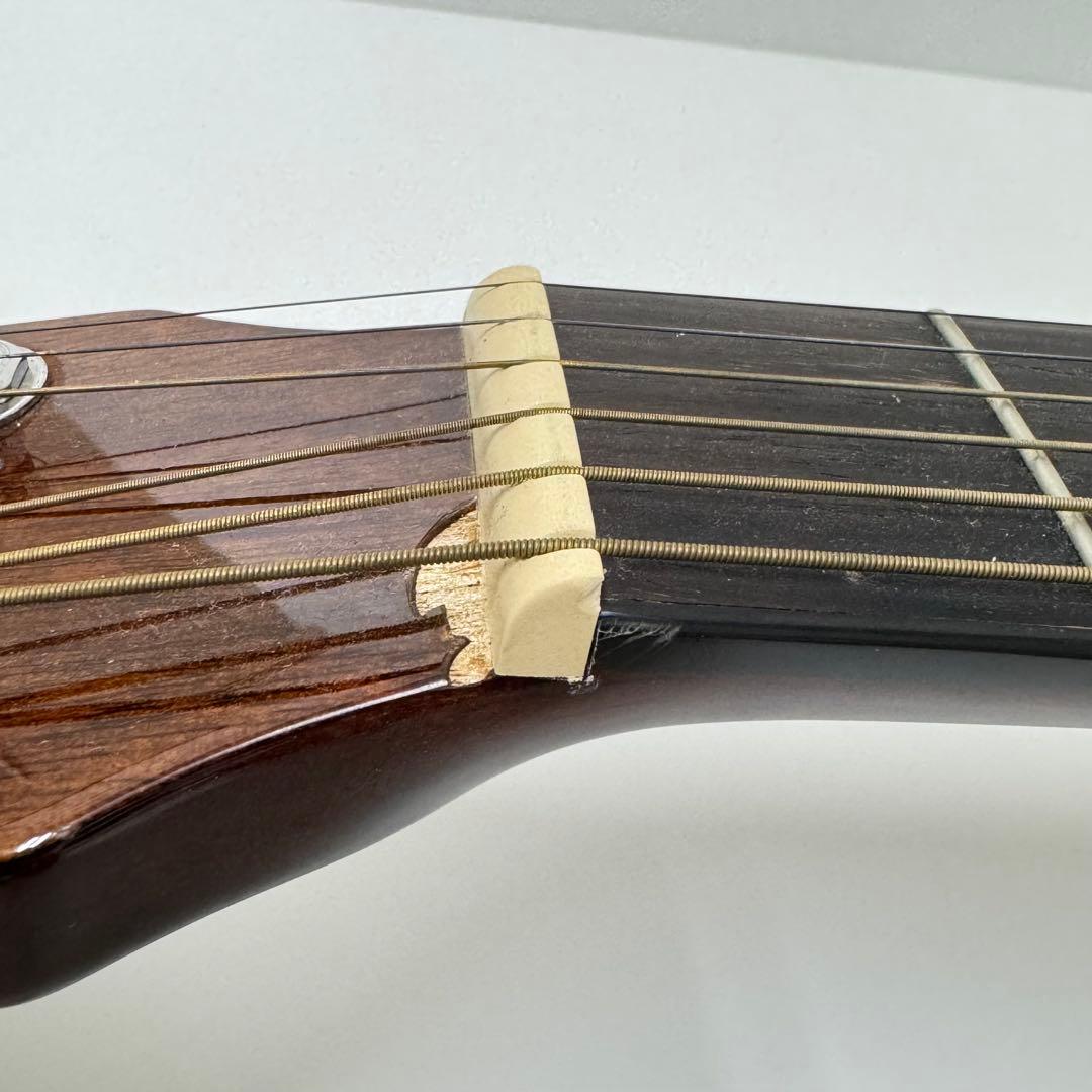 Fender CD-60CE SB-DS-V アコースティックギター